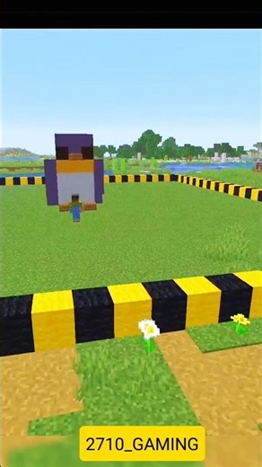 Penguin stachu in minecraft #minecraft #shorts