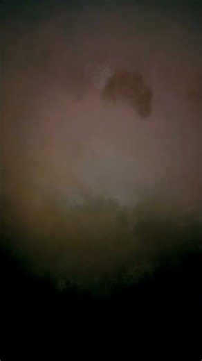 21 de março de 2026