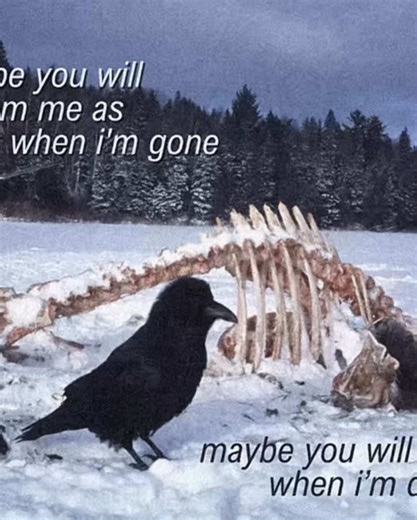 Understanding Dissociation and Its Impact on Mental Health