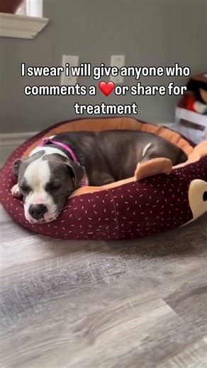 #Repost P A T T Y The hardest chapters don’t define the ending. Patty is coming home All thanks