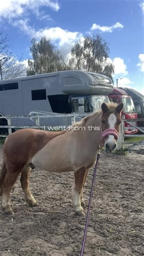 Sometimes Ai has its uses… I created Applejack and Raras baby foals 🥺 #babyfoal #pony #ai #beforeandafter