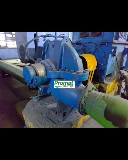 Double suction pump 202600418