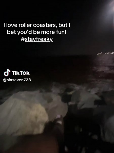 Roller Coasters and Fun Experiences