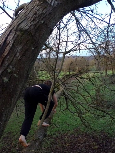 Mastering Primal Parkour Techniques for Better Balance