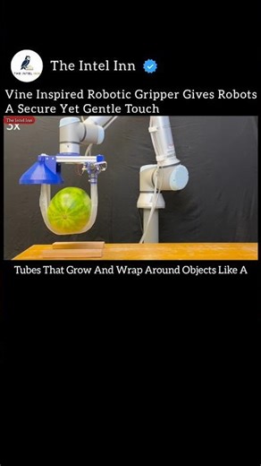 Vine Inspired Robotic Gripper Gives Robots A Secure Yet Gentle Touch!🤖 #Robotics #Grippers