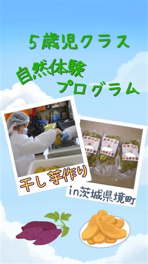 アスクゆきがや保育園 on Instagram: "こんにちは！アスクゆきがや保育園です。 当園を運営する株式会社日本保育サービスの親会社、株式会社JPホールディングスは、茨城県境町と子育てに関する協定を結んでいます。 そのご縁もあり、今年も年長児が茨城県境町の自然体験プログラムに参加しました。 バスでの移動や、干し芋作りを楽しみにしていた子どもたち。 みんなでお弁当を食べたり、広い公園でたくさん遊んだりし、大はしゃぎしていました✨ #株式会社日本保育サービス #日本保育サービス #アスクゆきがや保育園 #保育園 #大田区保育園 #大田区 #園見学 #保育園見学 #子育て #育児 #マイ保育園 #遠足 #茨城県境町 #自然体験プログラム"