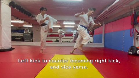 Effective low kick defense techniques in full contact karate