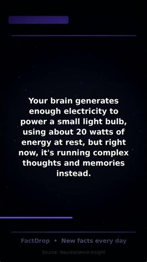 ⚡ Your Brain Powers a Light Bulb!