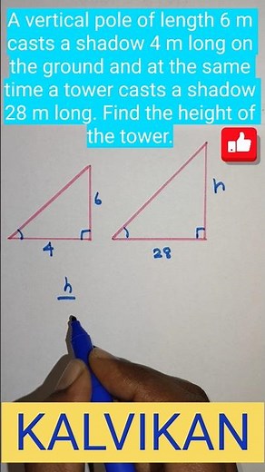 vertical pole of length 6 m casts a shadow 4 m.... a shadow 28 m long. Find the height of the tower.