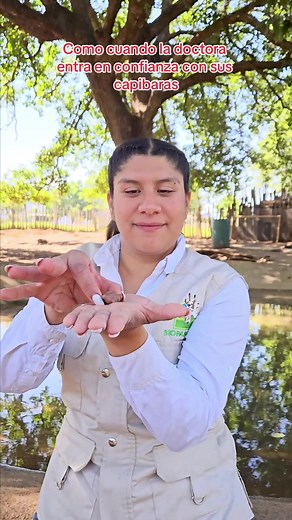 Las popós de los capibaras tienen un aspecto muy peculiar, cuando vayas al parque, observa bien a tu alrededor 🤭👀 #bioparque #quehacermty #mty #zoologico #venavivirlo #fypシ #animales