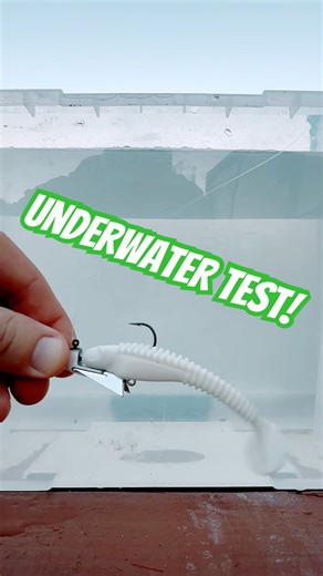 Would YOU Try This for Walleye? Berkley Snap Jig Underwater Test!