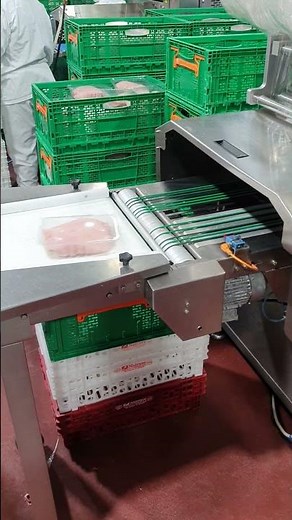 Ulma Taurus 580 in Action: Efficient Chicken Packaging at Poultry Plant