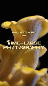 2K views · 19 reactions |  There’s still mushroom to grow your photography skills. Learn how to use time lapse on your camera and turn days of footage into minutes and seconds! ⏰  | Canon Singapore | Facebook