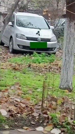 Flipper Zero CFW 2.0: VW Golf 5 & Caddy #flipperzero