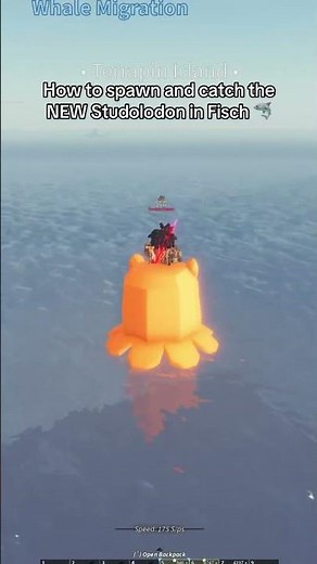 HOW TO SPAWN IN THE NEW STUDOLODON IN FISCH 🦈 #fisch #roblox #lego #studolodon