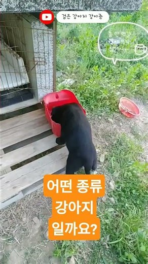 개 종류 ㄱㅅㄲ(깨소금)