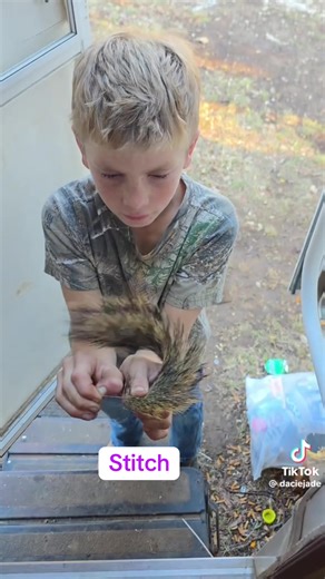 Muscles in a squirrels tail | squirrel