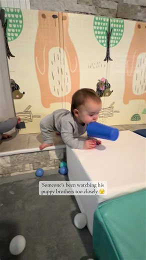 Working on Fetch with Our Puppy