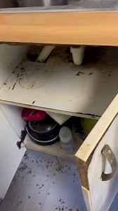 Ek dink eks beter in Pest Control as in slange vang 😆 En ja 2-3 sessies , geen mens kan Duitse kokkerot (die klein kombuis kokkerot) se eiers one-time kom vernietig nie , volgende dag broei nuwes uit en as volwassenheid bereik lê hulle weer eiers en als back to squire 1 Mens en diere vriendelik 👌🏻 Whatsapp vir bookings 0823801987 | Boland Snake Removals 24/7 and Pest Control