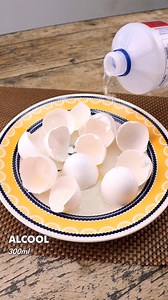 319K views · 2.8K reactions | Metti alcol sui gusci delle uova e non avrai mai più questo problema | Ricette semplici | Facebook