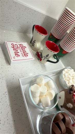 Hosted a little Christmas for the kiddos @aven_gates @aylaleegates | Sasha Gates