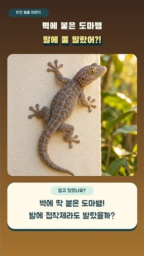 벽에 붙은 도마뱀, 발에 풀 발랐어?
