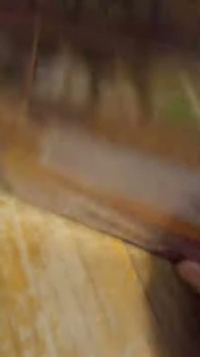 whats new scooby doo Halloween boo and clues dvd review