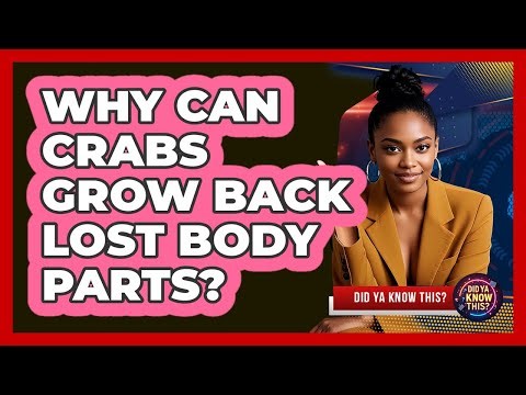 Why Can Crabs Grow Back Lost Body Parts?