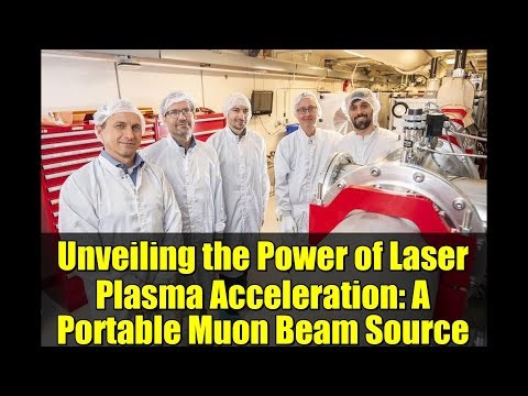 Unveiling the Power of Laser Plasma Acceleration: A Portable Muon Beam Source