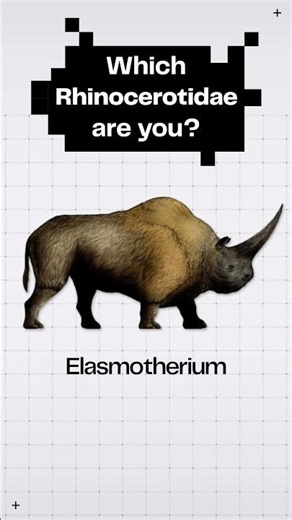 Rhinocerotidae is a family, but there’s always a favorite, right? We’re feeling so coelodonta 🦏