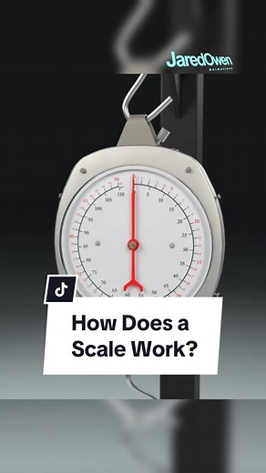 How does a Scale Work? #3d #3danimation #jaredowen #scale #hookeslaw