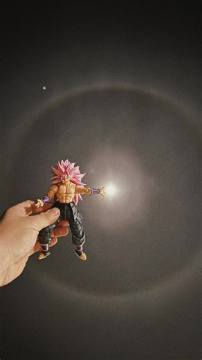 Exploring the Peak Hobby of Action Figures