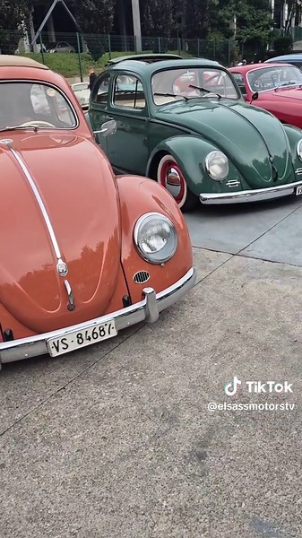 Le Bug Show 2025: L'événement incontournable