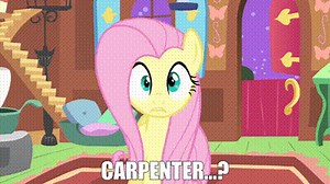 Carpenter...?