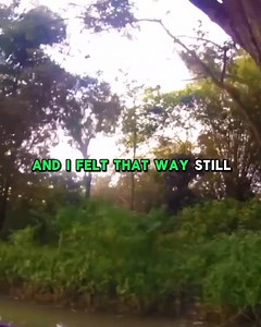 647K views · 16K reactions |  If I had only one friend left I'd want it to be you   Bacolod, Bato, Camarines Sur #OneFriend #DanSeals #LoveSong #ClassicHits #SoftRock #CountryMusic #ThrowbackSong #TimelessHits #MusicLover #LyricsVideo #TagYourOneFriend #BestFriendGoals #FriendshipForever #EmotionalSong #HeartfeltLyrics #OldButGold #MusicForTheSoul #TrendingNow #ViralLyrics #FYP #ReelsPH #MusicReels #FeelTheMusic #filipinomusiclovers | Song Lyrics PH | Facebook