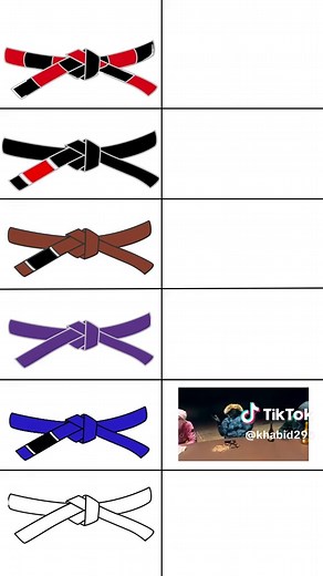 Understanding BJJ Belt Rankings: A Comprehensive Guide