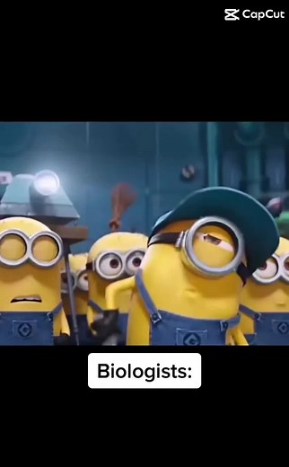 Rosalind Franklin is the 🐐 #dna #genetics #biology #rosalindfranklin #watsonandcrick