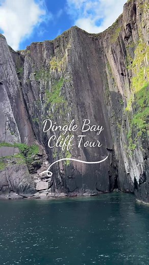 Explore Dingle Bay cliffs with us ☘️ #dingledolphinboattours #dingle #kerry #wildathlanticway #cliffs #discovernewplaces