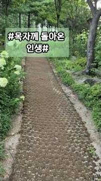 목자께 돌아온 인생 #나는 길잃은나그네였네#벧전2:25#너희#전에#양#길#영혼의목자#감독#돌아옴