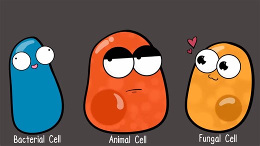 Prokaryotic vs. Eukaryotic Cells (Updated)