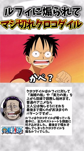 「かぺ？おめぇ何が言いてぇんだ」ルフィに煽られてクロコダイルマジ切れ#ワンピース