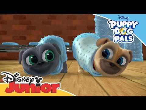 Puppy Dog Pals | Bubble Wrapped Song | Official Disney Channel Africa