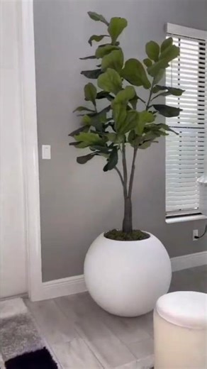 How to Set Up a Modern Planter 🌿 Easy Home Styling Hack #homedecor