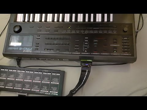 THE PRO-E BY ROLAND IS AN ABSOLUTE SLEEPER 80S "SYNTH" keyboard thing