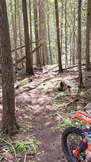 This is one of the many reasons I choose to run a foam mousse in my tires for off-road riding. My day would have been cut short for sure if I had a tube in there. Ride On ✊✊✊ | Reagan Sieg