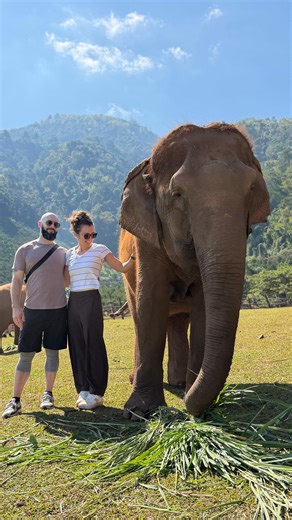 🐘 Full day at the elephant sanctuary run by @elephantnaturepark was an incredible way to start 2026 and will definitely be a highlight of this trip. Fun fact, elephant poop is a lot smaller than you’d think 💩 | Craig Jones