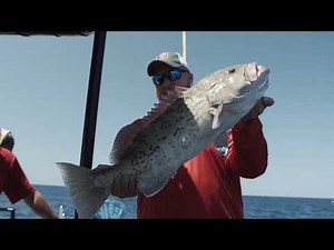 Top 3 Grouper Fishing Mistakes (Are You Making One Of These)?
