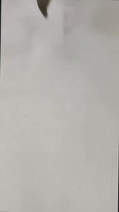 1.5M views · 11K reactions | COMBO Rs:899/- only  ✅ Pant Size: 28...