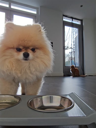 Delicious After-Dinner Crunchies Recipe