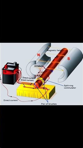 Understanding the working of ADC motor. #forstudents #learnscience #sciencemadeeasy #sciencestem
